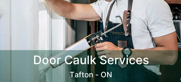  Door Caulk Services Tafton - ON