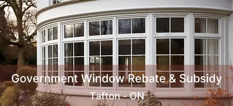  Government Window Rebate & Subsidy Tafton - ON