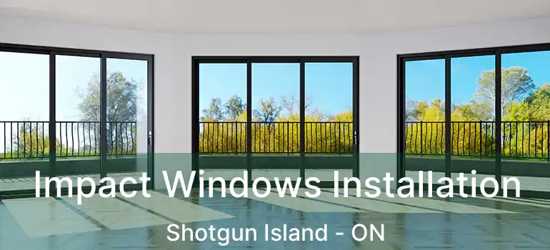  Impact Windows Installation Shotgun Island - ON