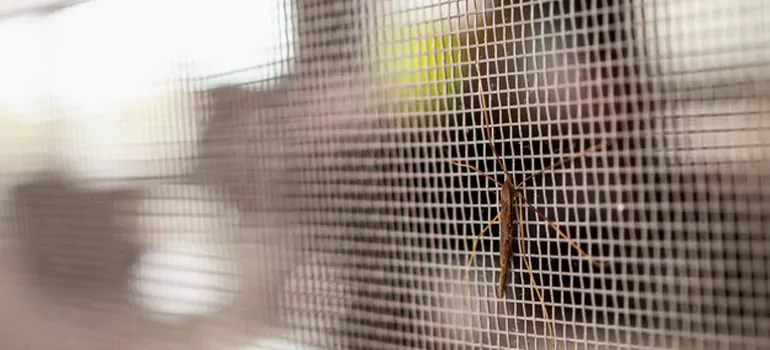 Repair Mosquito Mesh For Windows in Orillia, Ontario