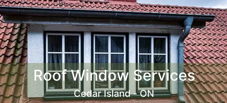  Roof Window Services Cedar Island - ON