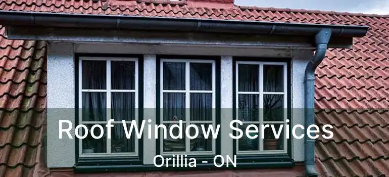  Roof Window Services Orillia - ON