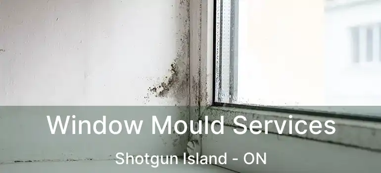  Window Mould Services Shotgun Island - ON