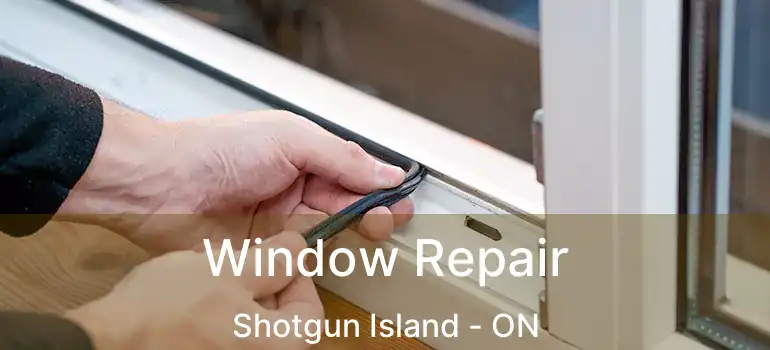  Window Repair Shotgun Island - ON