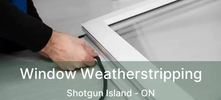  Window Weatherstripping Shotgun Island - ON